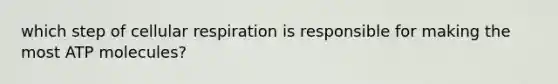 which step of cellular respiration is responsible for making the most ATP molecules?