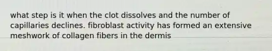 what step is it when the clot dissolves and the number of capillaries declines. fibroblast activity has formed an extensive meshwork of collagen fibers in the dermis