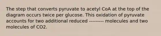 The step that converts pyruvate to acetyl CoA at the top of the diagram occurs twice per glucose. This oxidation of pyruvate accounts for two additional reduced --------- molecules and two molecules of CO2.