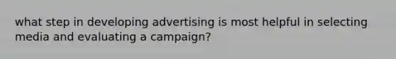 what step in developing advertising is most helpful in selecting media and evaluating a campaign?