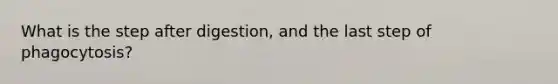 What is the step after digestion, and the last step of phagocytosis?