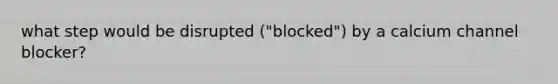 what step would be disrupted ("blocked") by a calcium channel blocker?