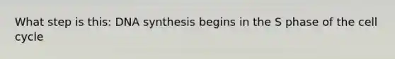 What step is this: DNA synthesis begins in the S phase of the cell cycle