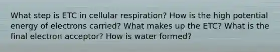 What step is ETC in cellular respiration? How is the high potential energy of electrons carried? What makes up the ETC? What is the final electron acceptor? How is water formed?