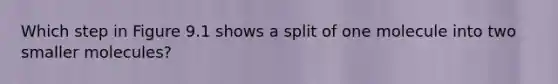 Which step in Figure 9.1 shows a split of one molecule into two smaller molecules?
