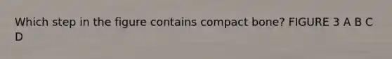 Which step in the figure contains compact bone? FIGURE 3 A B C D