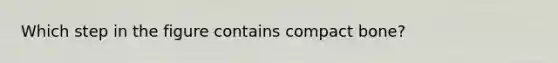 Which step in the figure contains compact bone?