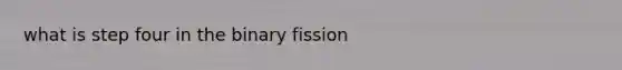 what is step four in the binary fission