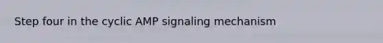 Step four in the cyclic AMP signaling mechanism