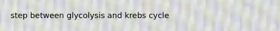 step between glycolysis and krebs cycle