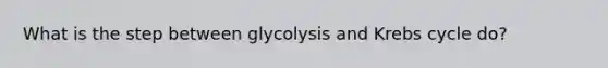 What is the step between glycolysis and Krebs cycle do?