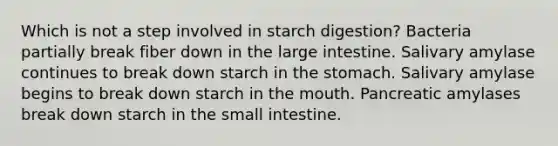 Which is not a step involved in starch digestion? Bacteria partially break fiber down in the large intestine. Salivary amylase continues to break down starch in the stomach. Salivary amylase begins to break down starch in the mouth. Pancreatic amylases break down starch in the small intestine.