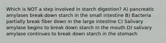 Which is NOT a step involved in starch digestion? A) pancreatic amylases break down starch in the small intestine B) Bacteria partially break fiber down in the large intestine C) Salivary amylase begins to break down starch in the mouth D) salivary amylase continues to break down starch in the stomach