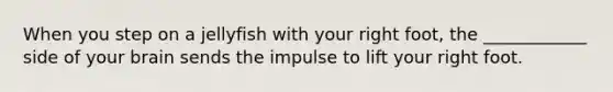 When you step on a jellyfish with your right foot, the ____________ side of your brain sends the impulse to lift your right foot.