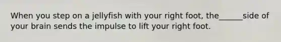 When you step on a jellyfish with your right foot, the______side of your brain sends the impulse to lift your right foot.