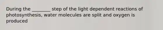 During the ________ step of the light dependent reactions of photosynthesis, water molecules are split and oxygen is produced