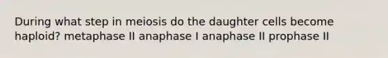 During what step in meiosis do the daughter cells become haploid? metaphase II anaphase I anaphase II prophase II