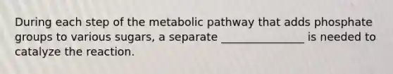 During each step of the metabolic pathway that adds phosphate groups to various sugars, a separate _______________ is needed to catalyze the reaction.