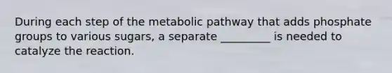 During each step of the metabolic pathway that adds phosphate groups to various sugars, a separate _________ is needed to catalyze the reaction.