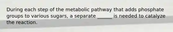 During each step of the metabolic pathway that adds phosphate groups to various sugars, a separate ______ is needed to catalyze the reaction.