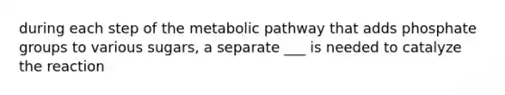 during each step of the metabolic pathway that adds phosphate groups to various sugars, a separate ___ is needed to catalyze the reaction