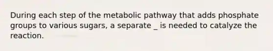 During each step of the metabolic pathway that adds phosphate groups to various sugars, a separate _ is needed to catalyze the reaction.