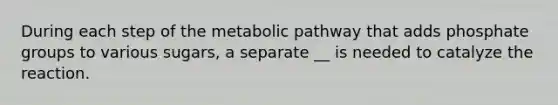 During each step of the metabolic pathway that adds phosphate groups to various sugars, a separate __ is needed to catalyze the reaction.