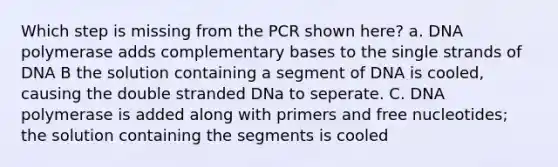 Which step is missing from the PCR shown here? a. DNA polymerase adds complementary bases to the single strands of DNA B the solution containing a segment of DNA is cooled, causing the double stranded DNa to seperate. C. DNA polymerase is added along with primers and free nucleotides; the solution containing the segments is cooled