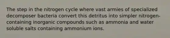 The step in the nitrogen cycle where vast armies of specialized decomposer bacteria convert this detritus into simpler nitrogen-containing inorganic compounds such as ammonia and water soluble salts containing ammonium ions.