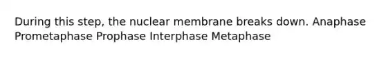 During this step, the nuclear membrane breaks down. Anaphase Prometaphase Prophase Interphase Metaphase