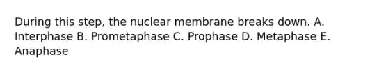 During this step, the nuclear membrane breaks down. A. Interphase B. Prometaphase C. Prophase D. Metaphase E. Anaphase