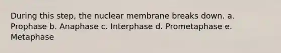 During this step, the nuclear membrane breaks down. a. Prophase b. Anaphase c. Interphase d. Prometaphase e. Metaphase