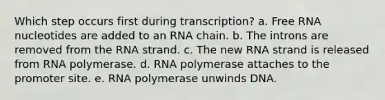 Which step occurs first during transcription? a. Free RNA nucleotides are added to an RNA chain. b. The introns are removed from the RNA strand. c. The new RNA strand is released from RNA polymerase. d. RNA polymerase attaches to the promoter site. e. RNA polymerase unwinds DNA.