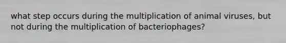 what step occurs during the multiplication of animal viruses, but not during the multiplication of bacteriophages?