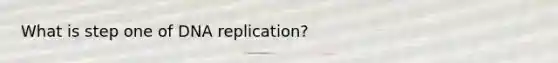 What is step one of DNA replication?