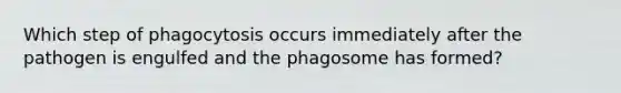 Which step of phagocytosis occurs immediately after the pathogen is engulfed and the phagosome has formed?