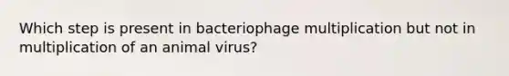 Which step is present in bacteriophage multiplication but not in multiplication of an animal virus?