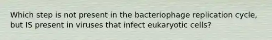 Which step is not present in the bacteriophage replication cycle, but IS present in viruses that infect eukaryotic cells?