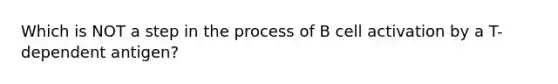 Which is NOT a step in the process of B cell activation by a T-dependent antigen?