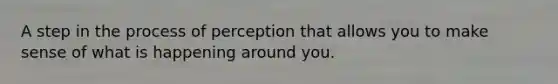 A step in the process of perception that allows you to make sense of what is happening around you.