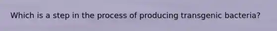 Which is a step in the process of producing transgenic bacteria?