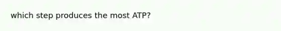 which step produces the most ATP?