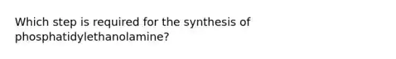 Which step is required for the synthesis of phosphatidylethanolamine?