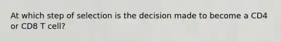 At which step of selection is the decision made to become a CD4 or CD8 T cell?