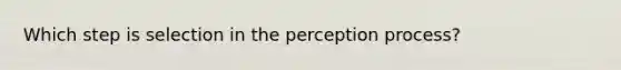 Which step is selection in the perception process?