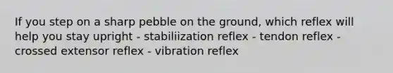 If you step on a sharp pebble on the ground, which reflex will help you stay upright - stabiliization reflex - tendon reflex - crossed extensor reflex - vibration reflex