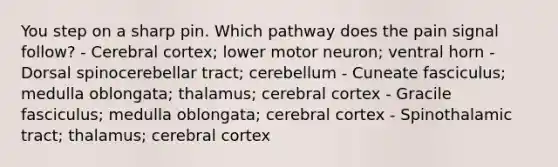 You step on a sharp pin. Which pathway does the pain signal follow? - Cerebral cortex; lower motor neuron; ventral horn - Dorsal spinocerebellar tract; cerebellum - Cuneate fasciculus; medulla oblongata; thalamus; cerebral cortex - Gracile fasciculus; medulla oblongata; cerebral cortex - Spinothalamic tract; thalamus; cerebral cortex