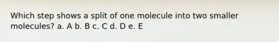 Which step shows a split of one molecule into two smaller molecules? a. A b. B c. C d. D e. E