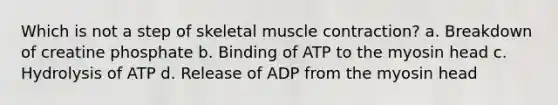 Which is not a step of skeletal muscle contraction? a. Breakdown of creatine phosphate b. Binding of ATP to the myosin head c. Hydrolysis of ATP d. Release of ADP from the myosin head