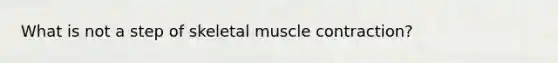 What is not a step of skeletal muscle contraction?